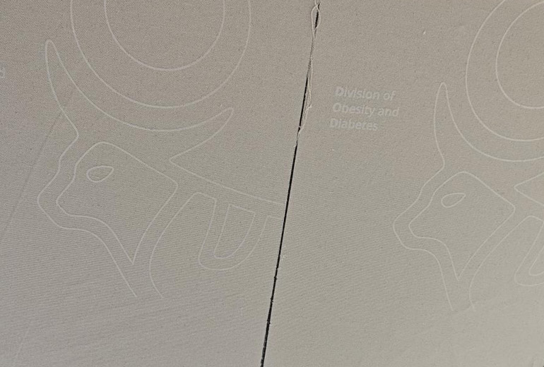 Gahumi Case-Novo Nordisk 2,600 Custom Canvas Bags-05.jpg